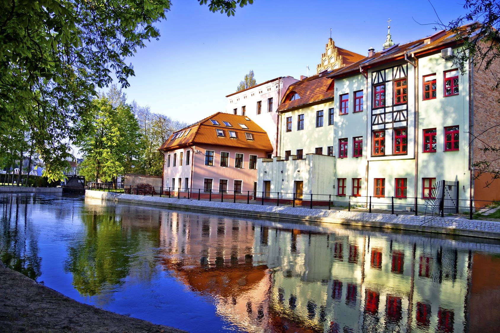 Rzeka Brda